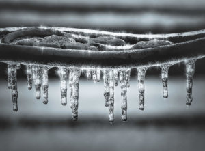 A close up of icicles dripping from a branch